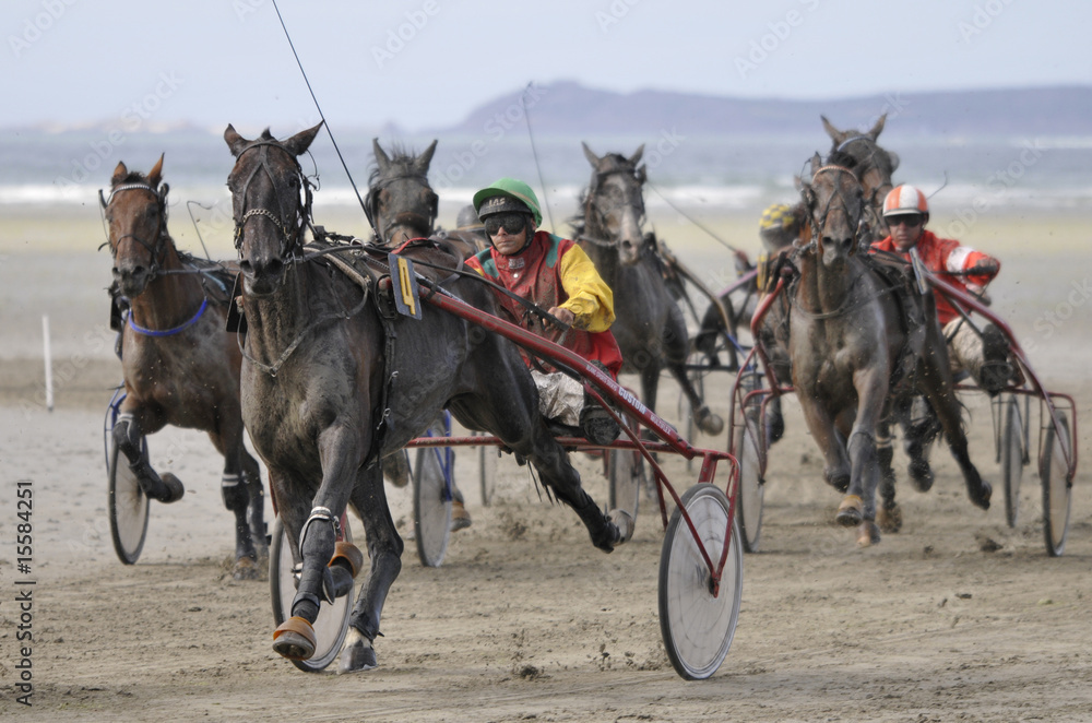 Poster course de trot attelé sur plage