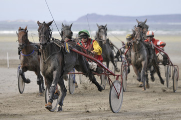 Course de trot attelé sur plage
