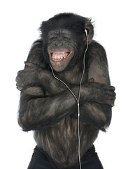 Naklejka premium Monkey listening music