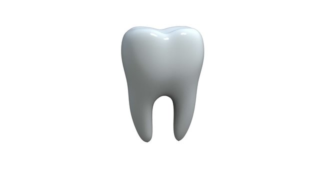 3d tooth model rotates on white background