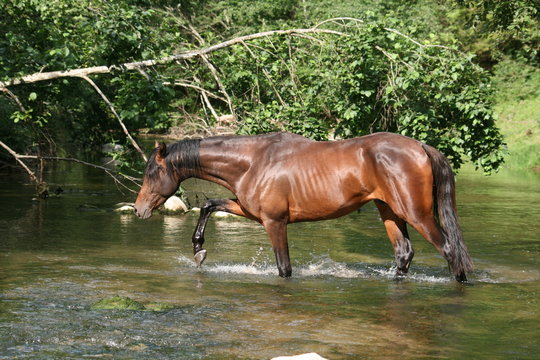 Travers&eacute;e de rivi&egrave;re
