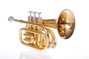 Obraz na płótnie Canvas Trumpet kieszeń