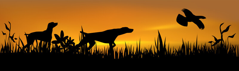 Hunting dogs with bird