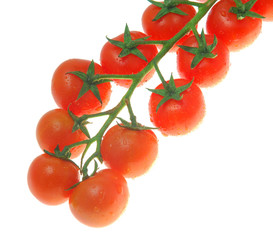 cherry tomato