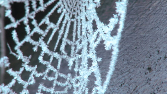 Frosty Spiderweb