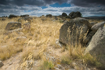 Paisaje en la provincia de Avila (Spain)