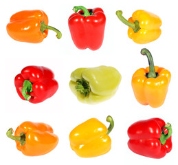 Red yellow orange green pepper. (isolated)
