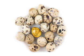 Obraz premium One Gold quail egg