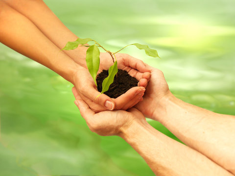 business &eacute;cologie concept 3