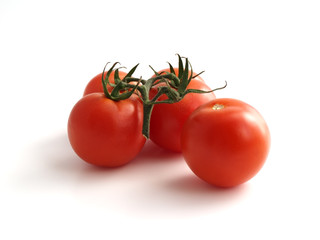 bunch of tomatoes