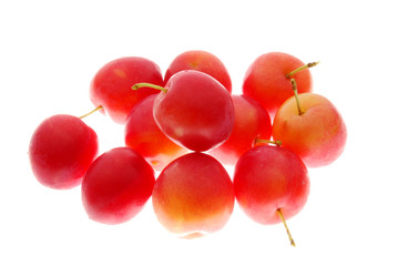 red plums on light box