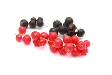 fruits rouges