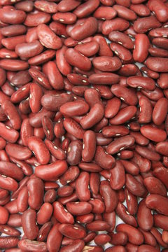 haricots