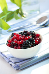 Schälchen mit Johannisbeeren und Brombeeren