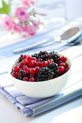 Johannisbeeren und Brombeeren