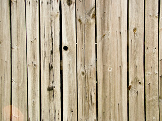 Wood texture 10