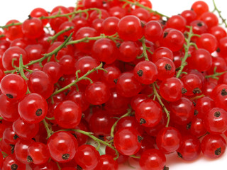 Red Currants