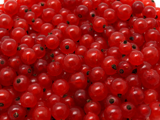 Red Currants