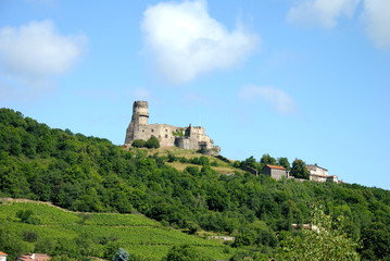 Fototapeta na wymiar Castle Tournoël