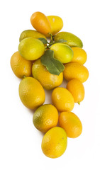 Mandarini Cinesi 2 09