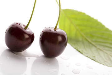 Wild Cherry  
