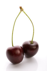 Wild Cherry  