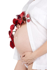 Pregnant female - obrazy, fototapety, plakaty