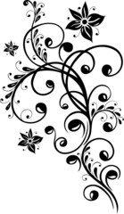 Blumen, Blumenranke, filigran, floral