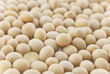 Soya Beans Close-up - Full Frame
