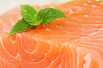 salmon