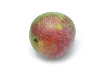 Mangue sur fond blanc