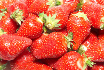 Red strawberries
