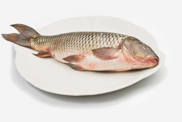 Fresh freshwater fish