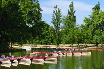 paris lac daumesnil  et barques en été