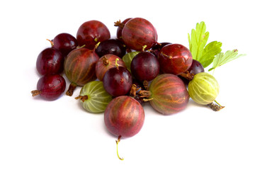 Gooseberries