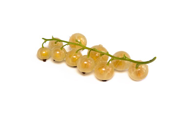 White currants