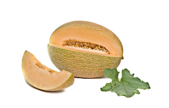 Melon section and segment
