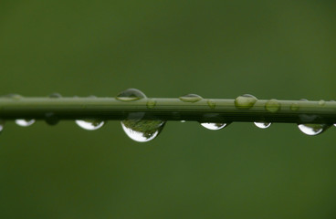 spiegelung