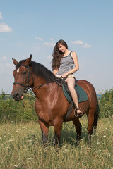 Fototapeta premium Girl sits on horseback