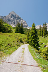 Fototapeta premium Weg in die Berge