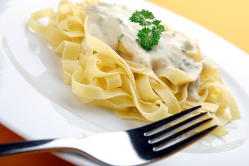 pasta with cheese sauce with fork