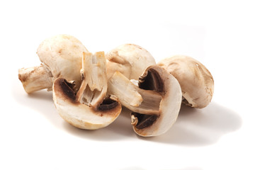 Group of fresh champignons.