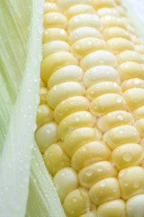とうもろこし