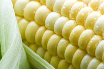 とうもろこし