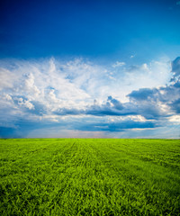 clouds over the green field