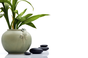 Stylish ceramic pot with bamboo leafs and stones
