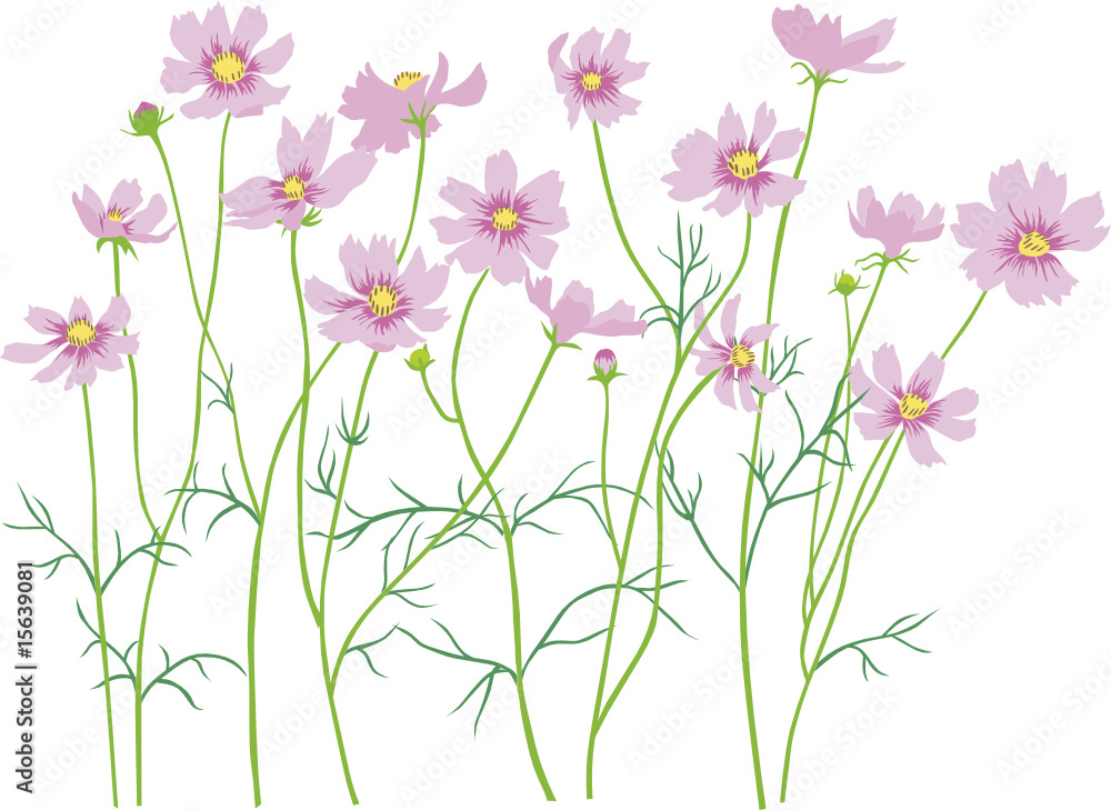 Wall mural cosmos