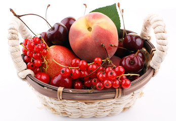 summer fruits in the basket