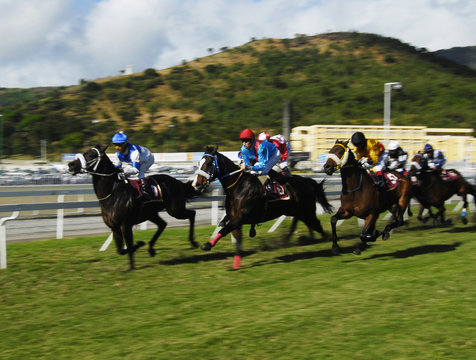 Horse racing in Mauritius