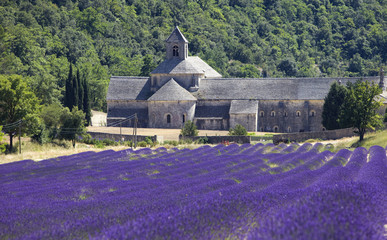Abadia de Senanque